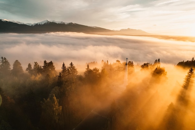 Mistig bos met zonnestralen Bovenaanzicht van het gedreun van de bergvallei in lage wolken Luchtfoto van de bergtop met groene bomen in de mist