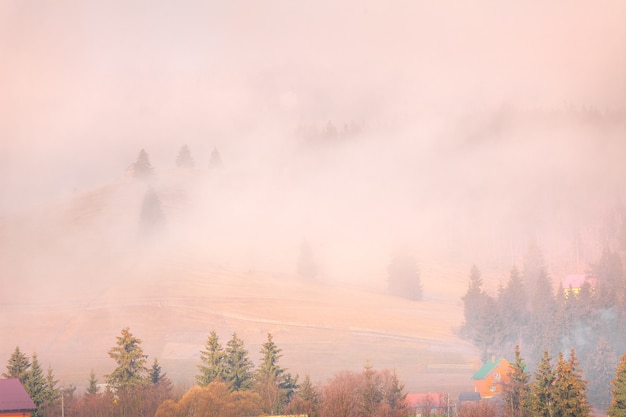 Mistig herfst landschap