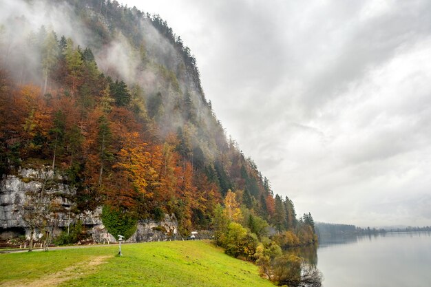 Mistig herfstbos met gele bomen die de berghelling bedekken.