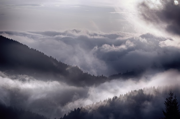 Mistig ochtendlandschap