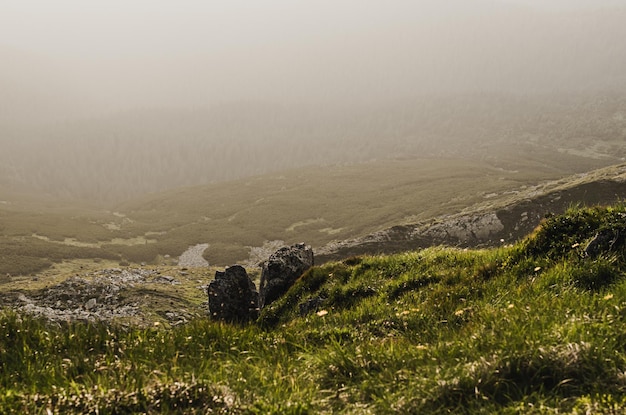 Mistig ochtendlandschap