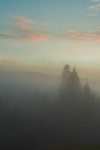 mistige bewolkte ochtendzonsopgang in de bergen, het bos, het hoge bergdorp in blauwe en roze kleuren