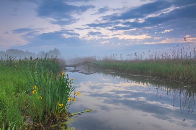 Mistige dageraad op de rivier