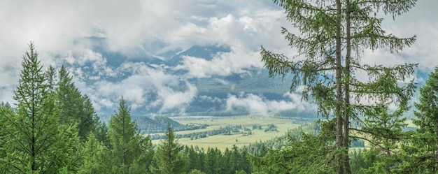 Mistige ochtend in de bergen bewolkt weer zomer reizen panoramisch