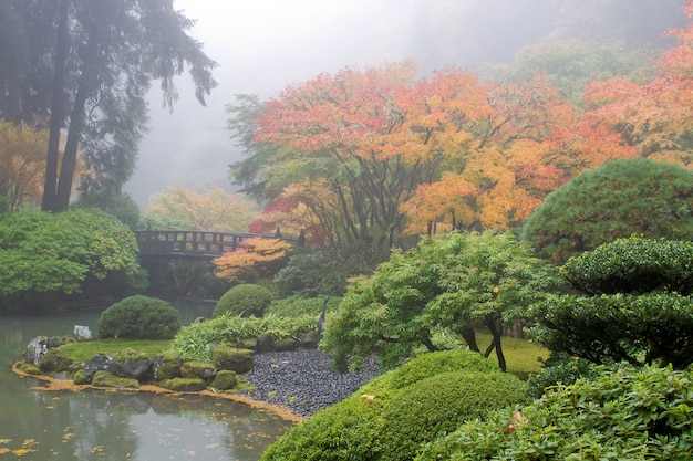Mistige ochtend in Japanse tuin bij de vijver