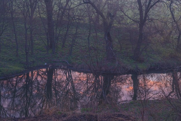 Foto mistige ochtend op de rivier