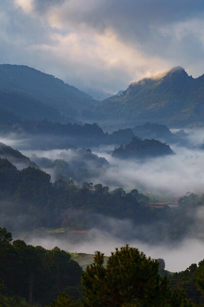 Mistige ochtendzonsopgang bij Doi angkhang mountain chiangmai thailand
