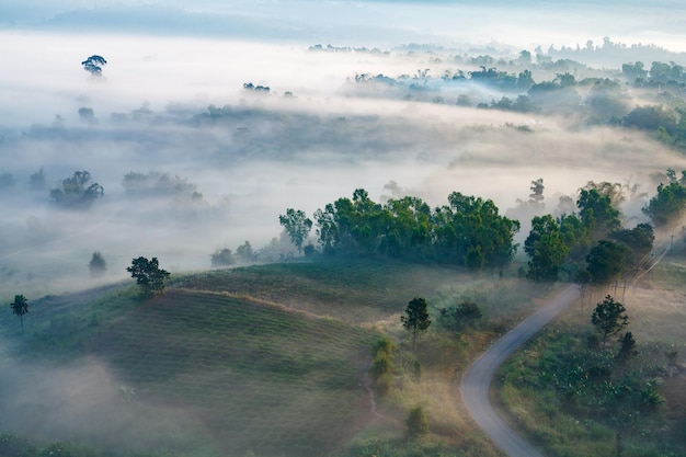 Mistige ochtendzonsopgang in berg bij Khaokho PhetchabunThailand