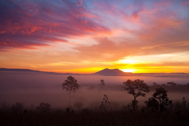 Mistige ochtendzonsopgang in berg bij thung salang luang national park phetchabunthailand