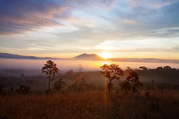 Mistige ochtendzonsopgang in Thung Salang Luang National Park PhetchabunThailand