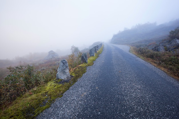 Mistige weg in Noorwegen Gamle Strynefjellsvegen