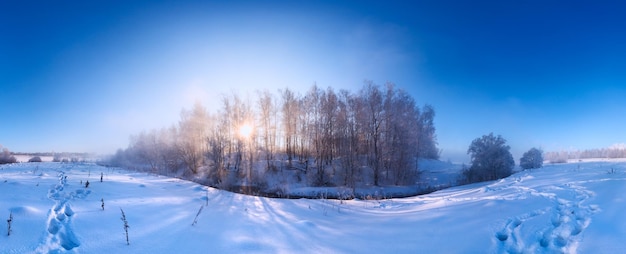 Mistige winterrivieroever bij ochtendpanorama met zon door berkenbomen in centrum