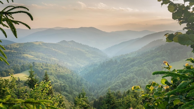 Mistige zomer mistige groene bergen dageraad landschap