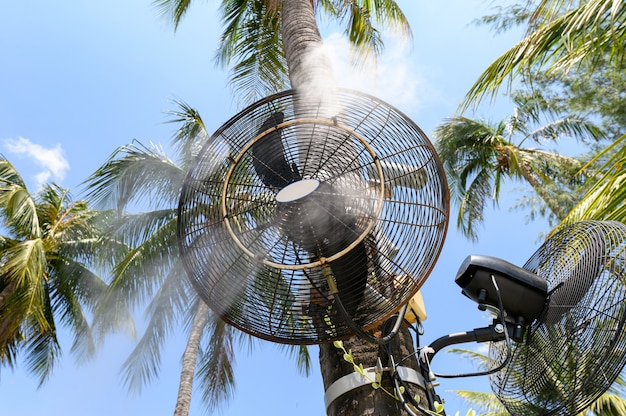 Ventilatore che spruzza vapore sul cocco