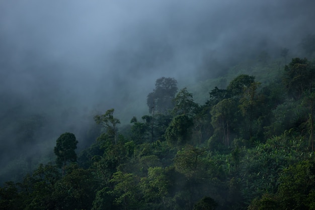 Misty clouds cover mountains in Thailand.