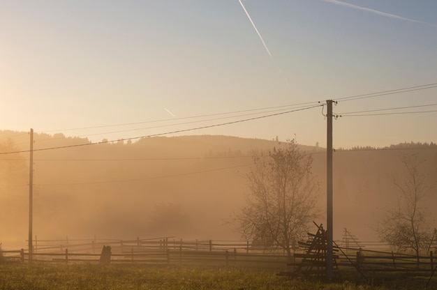 Alba nebbiosa in campagna