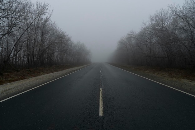 Photo misty forest road in the fog