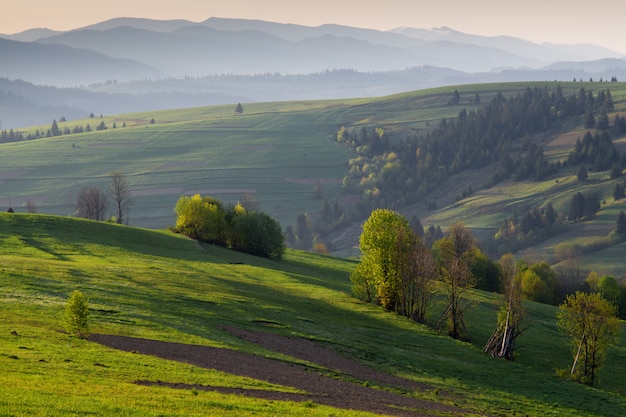 The misty hills of the Carpathian mountains at sunrise