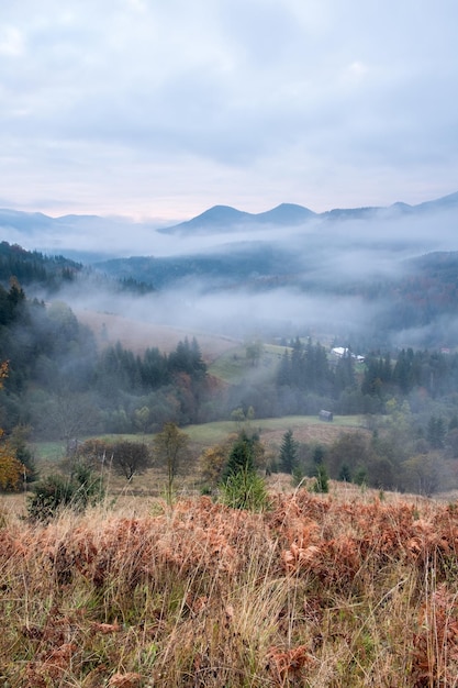 Misty morning in the Carpathian mountains in autumn White fog over the dreamy mountain range covered with green forest