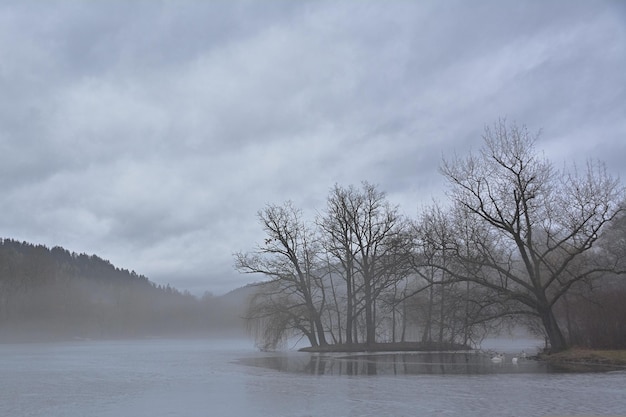 misty morning on the river