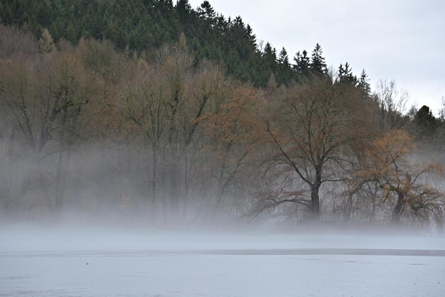 misty morning on the river