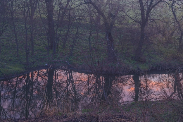 Photo misty morning on the river