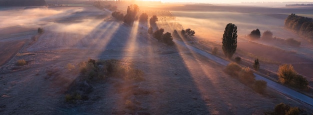 Misty Morning Scenic Route through the Countryside