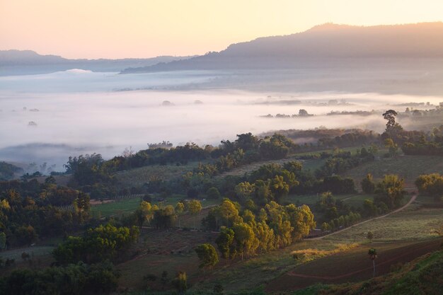 Misty morning sunrise in Khao Takhian Ngo View Point at Khaokho PhetchabunThailand