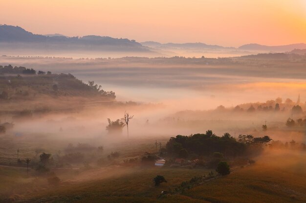 Misty morning sunrise in Khao Takhian Ngo View Point at Khaokho PhetchabunThailand