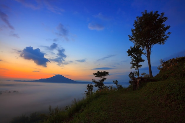 Misty morning sunrise in mountain at Khaokho PhetchabunThailand