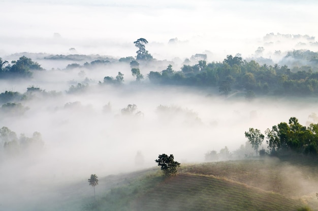 Khaokho PhetchabunThailand で山の霧の朝の日の出