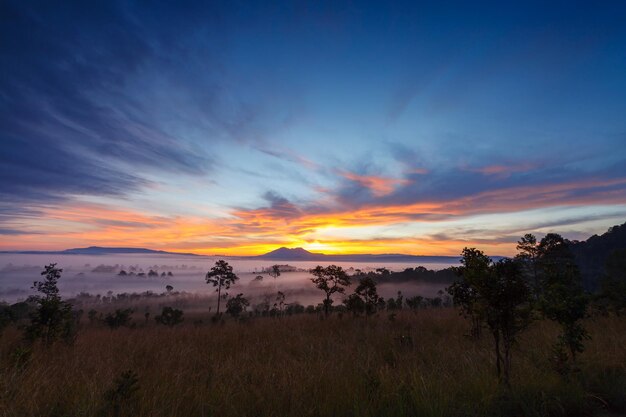 Misty morning sunrise at Thung Salang Luang National Park PhetchabunThailand