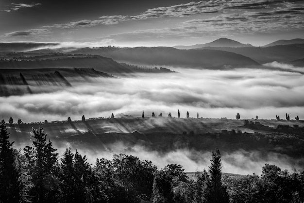 Misty morning in Val d'Orcia