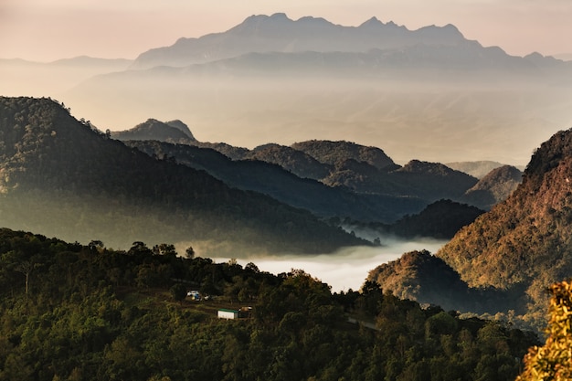 Туманное утро с восходом солнца над лесной горой, красивый пейзаж в Doi Ang Khang, Чианг Май, Таиланд