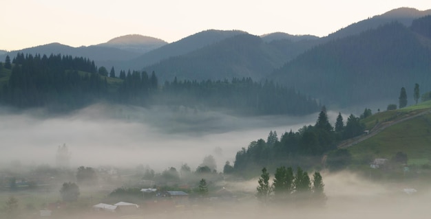 Misty mountain forest landscape in the morning