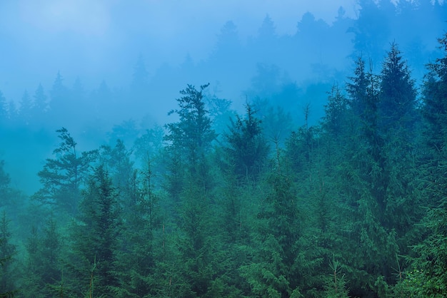 Misty mountain landscape