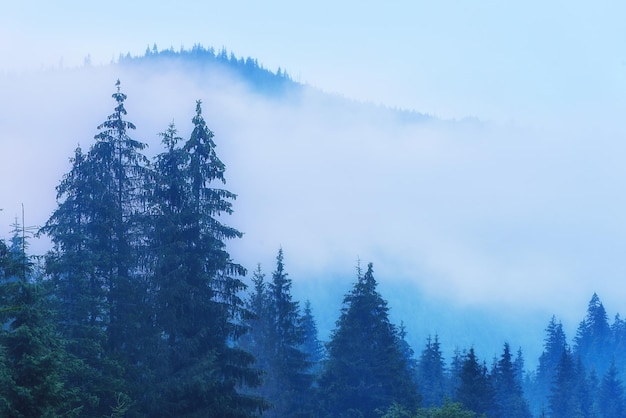 霧深い山の風景