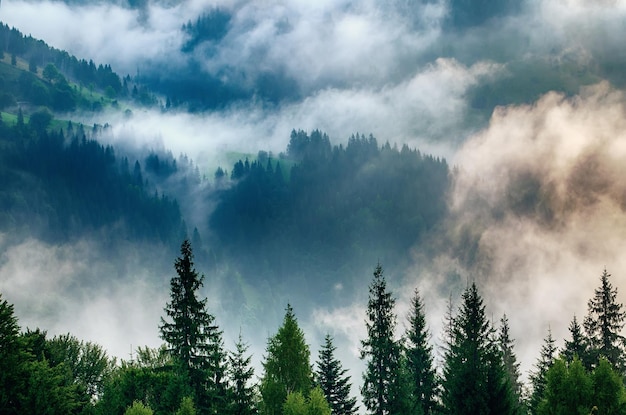 霧深い山の風景