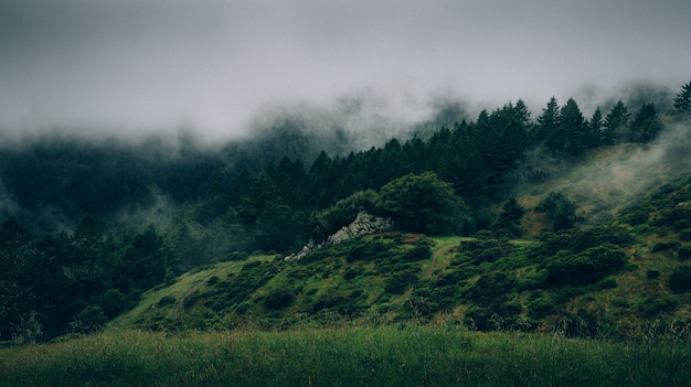 Photo misty mountains in morning