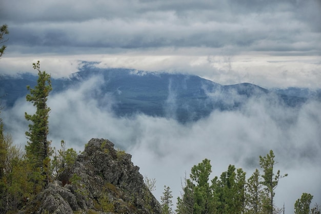 Photo misty mountains shrouded by clouds with treetops emerging evoke a serene mystical atmosphere