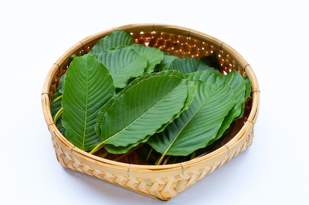 Mitragyna speciosa, Fresh kratom leaves in bamboo basket on white background