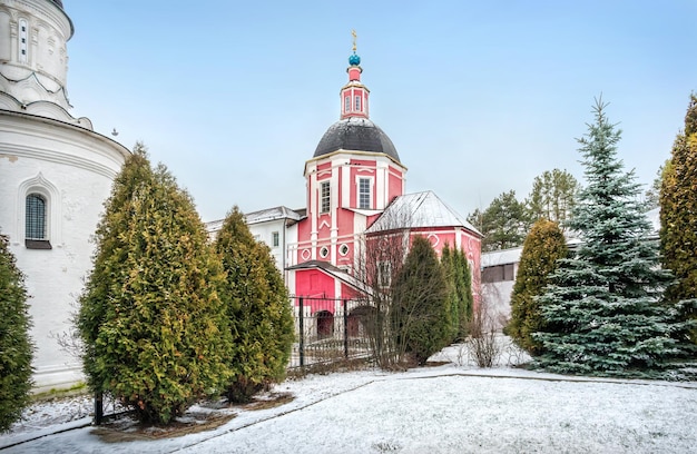 Mitrofanievskaya-kerk in Pafnutiev-klooster in Borovsk en duiven