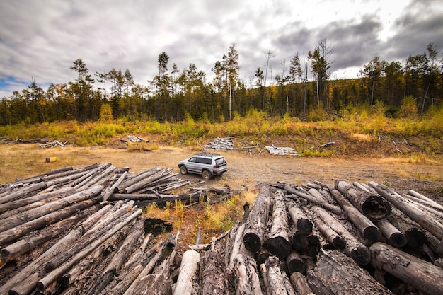 Mitsubishi Pajero Sport in autumn forest near old logs.