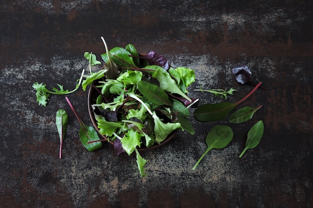 Photo mix baby salads in a bowl. concept of healthy or dietary food. superfoods eco food. fitness food.