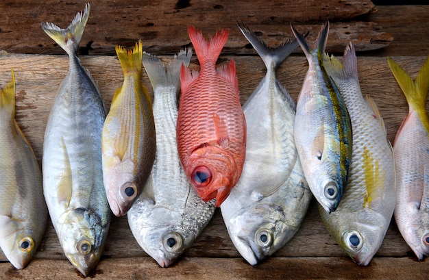 カラフルな新鮮な魚を混ぜる