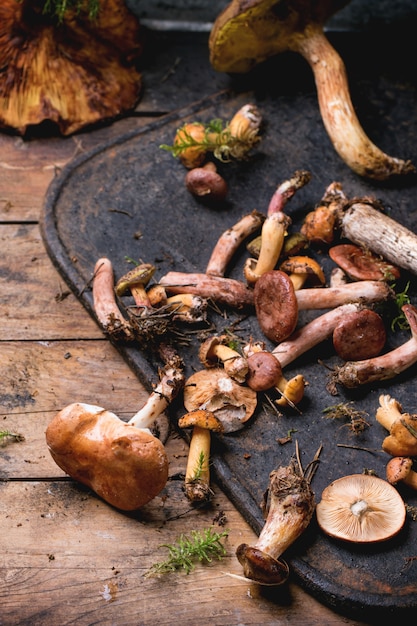 Mix of forest mushrooms