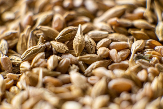 A mix of grains of different types Background closeup