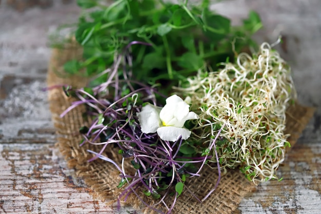 Mix of microgreens.