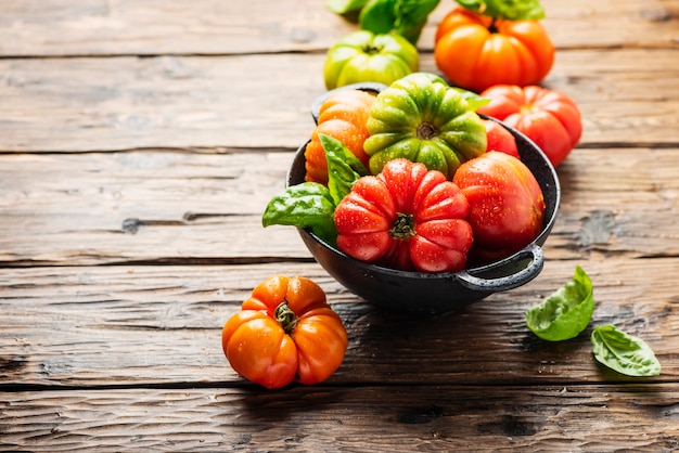 Mix of red, orange and green tomatoes