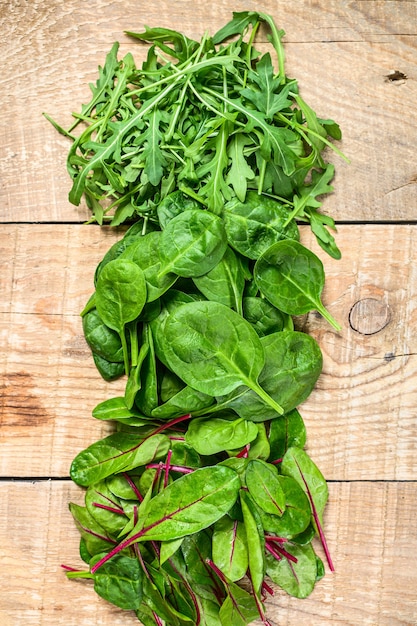 Mix Salad leafs, Arugula, Spinach and swiis Chard